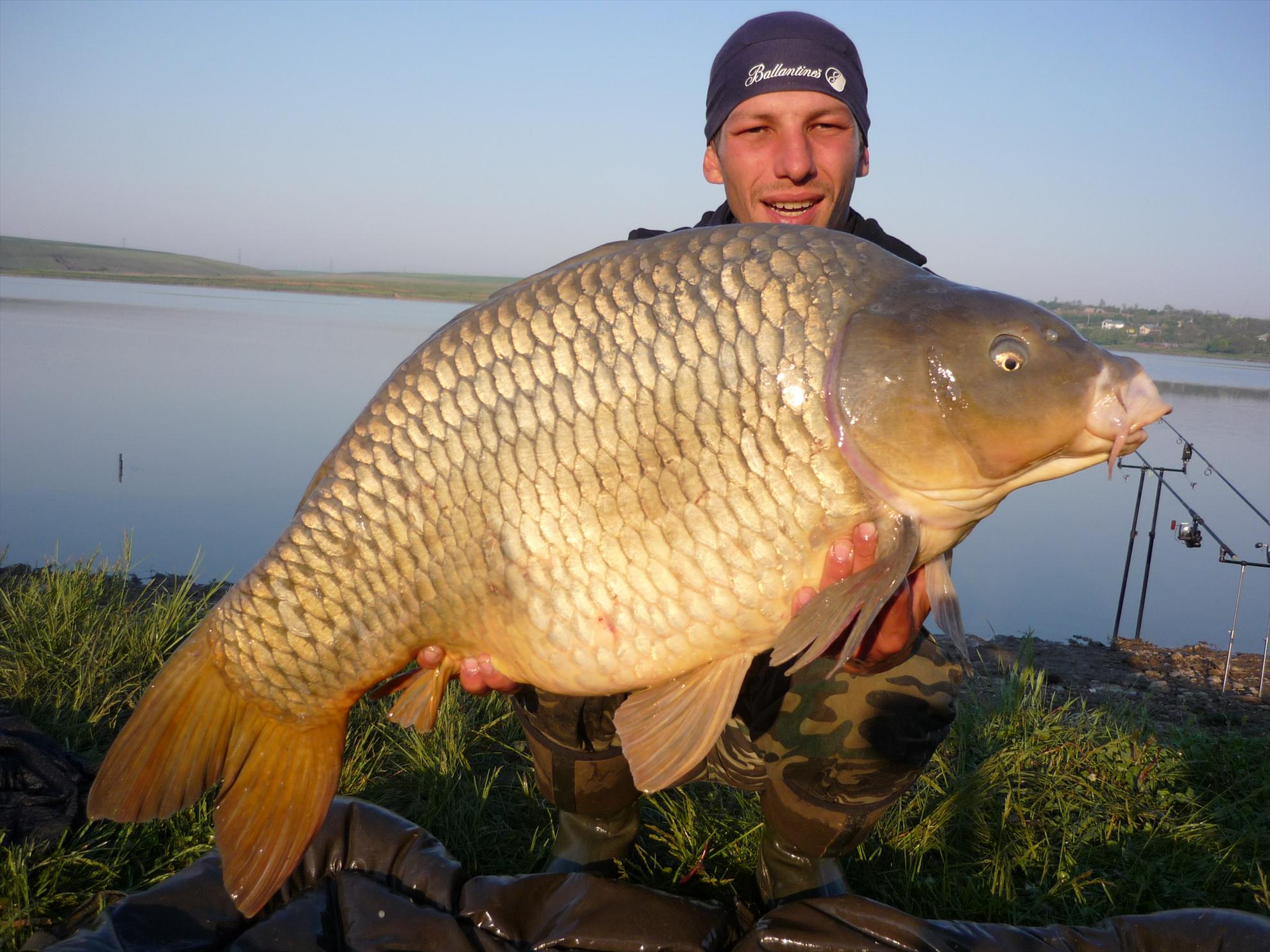 Foto dulapi - picture-003.jpg